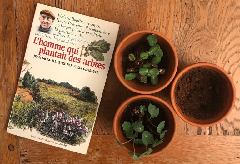 L'homme Qui Plantait Des Arbres Questionnaire Cm2 Quels classiques pour vos enfants ? « L’homme qui plantait des arbres